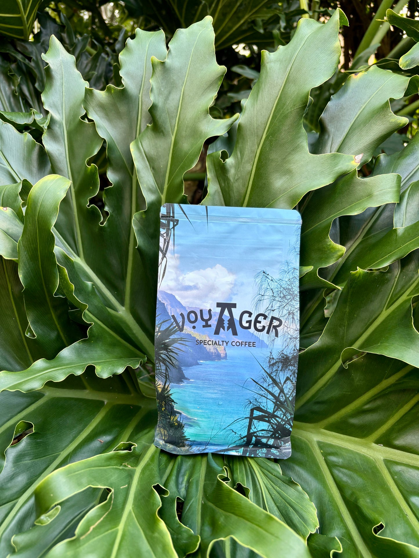 Organic Bali Blue Moon (12 oz)